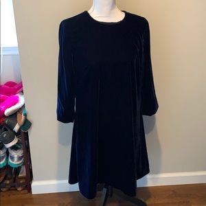 NWT Gorgeous Blue Velvet Dress from Hobbs London